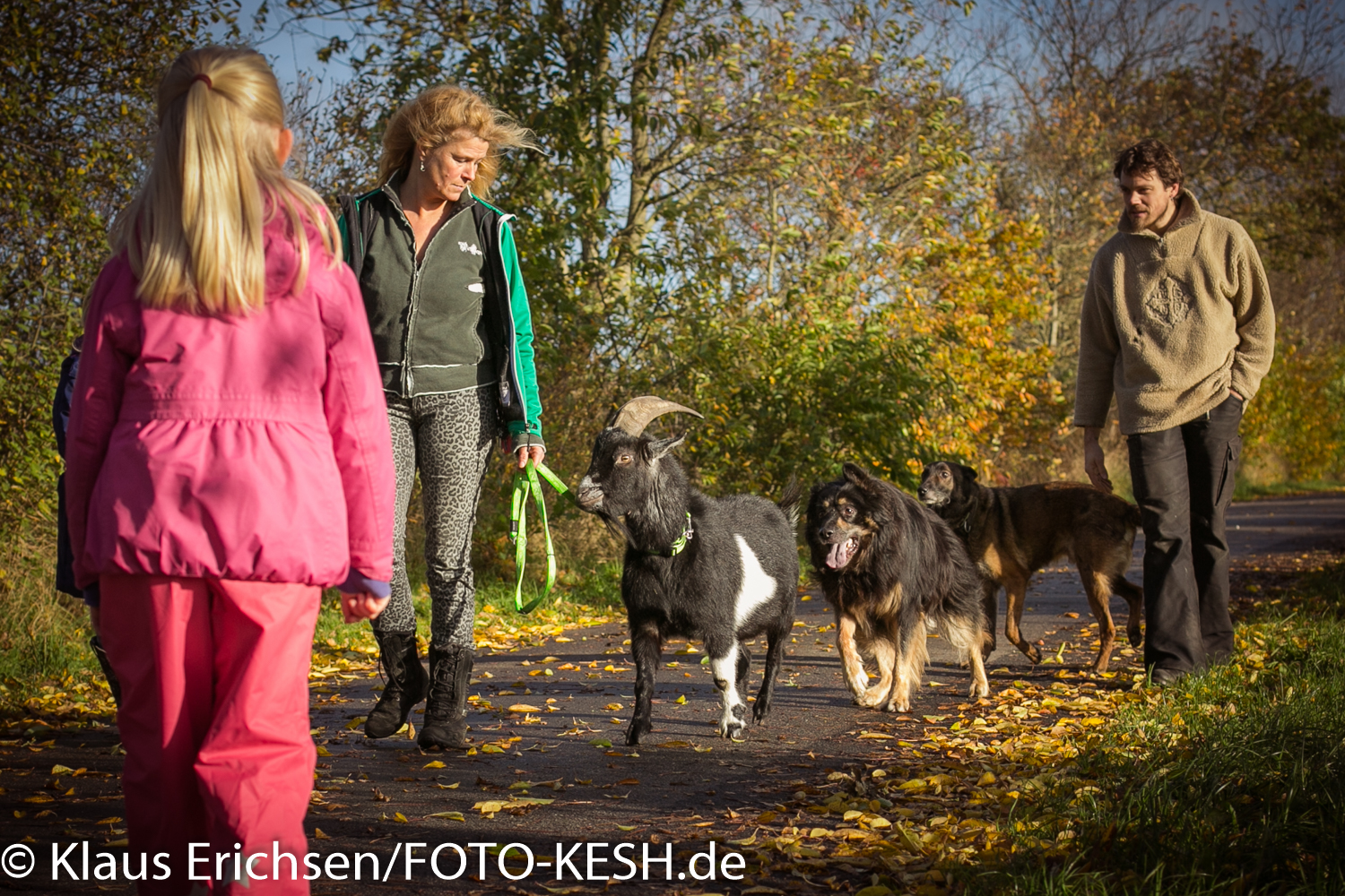 Herbstspaziergang