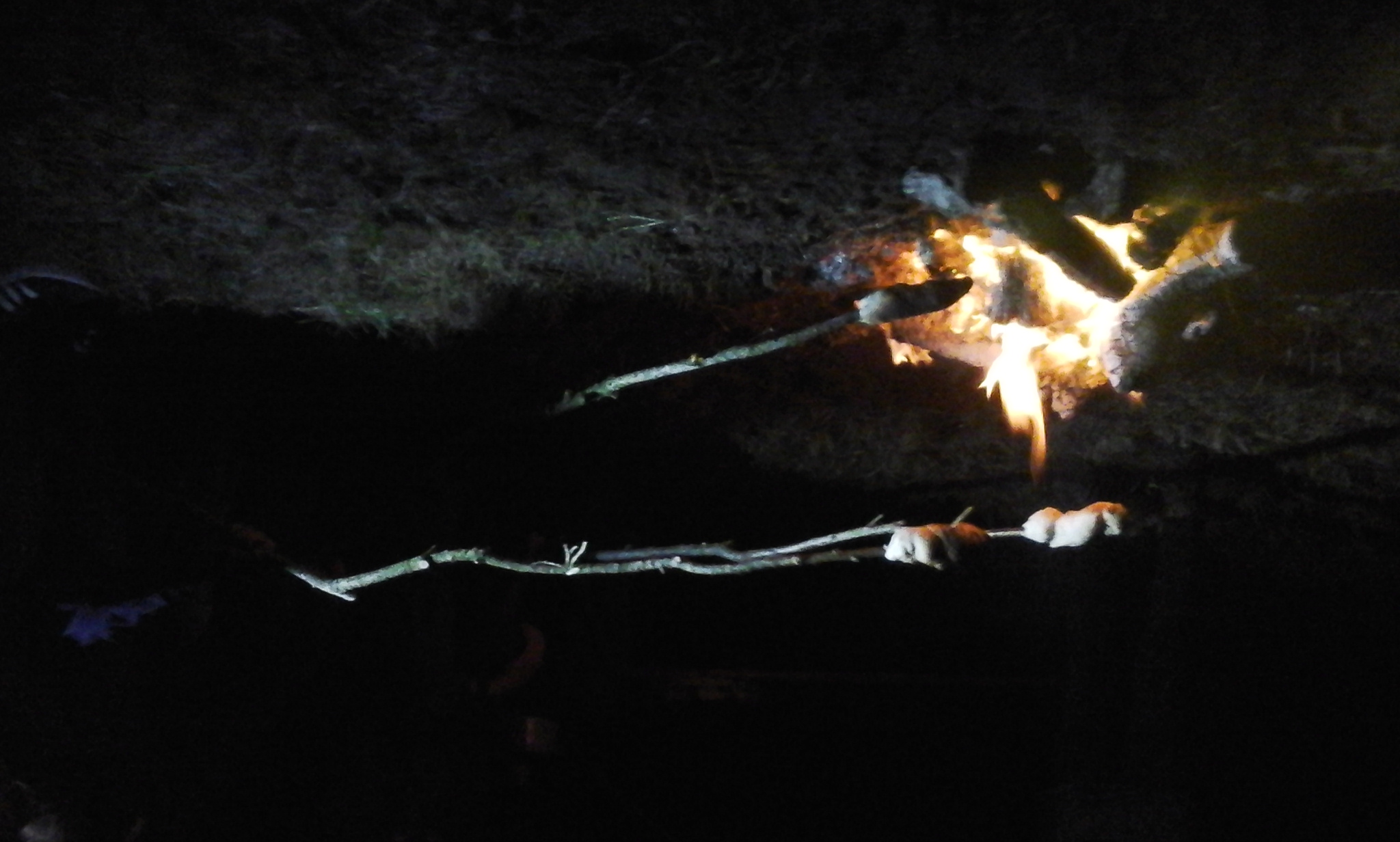 Lagerfeuer und Stockbrot beim Sommerfest