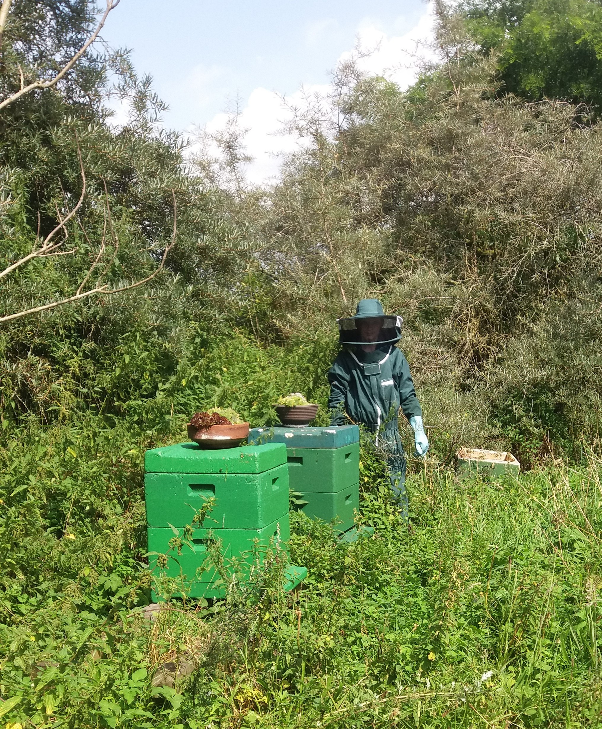 Lina mit den Bienen