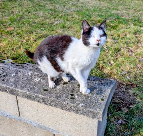 Sophie